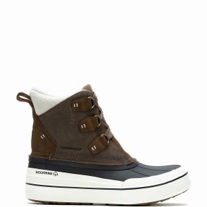 Buty Chukka Wolverine Torrent Waterproof Insulated Damskie Czekolada | XOV1779US