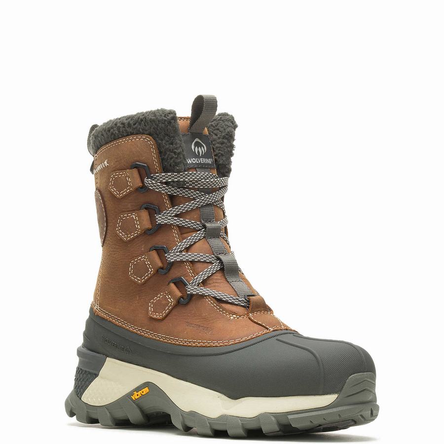 Buty Robocze Wolverine Glacier Surge Arctic Insulated Męskie Brązowe | ZNH4029OJ