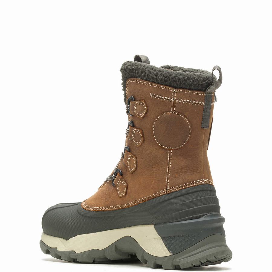 Buty Robocze Wolverine Glacier Surge Arctic Insulated Męskie Brązowe | ZNH4029OJ